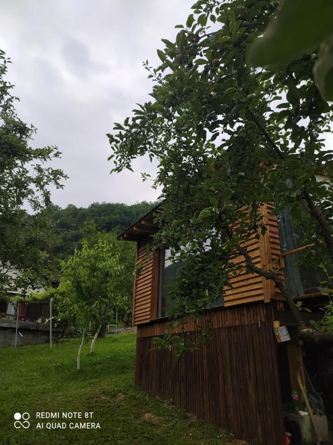 Lenilenii Bungalows يايتشه المظهر الخارجي الصورة